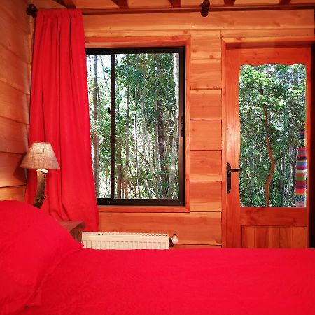 Okori Hostel Pucon Exterior photo